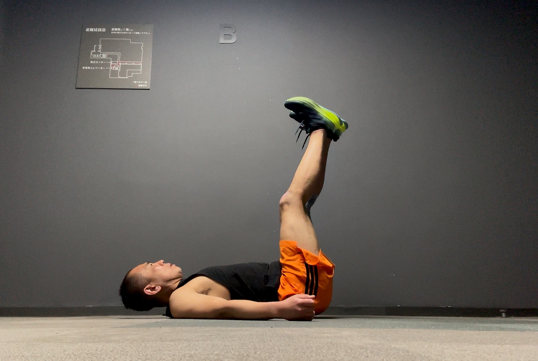 �{�f�B�R���o�b�g106-9,�R���f�B�V���j���O,�R���I,�e�N�j�b�N,�|�C���g